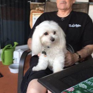 Meet your Posher, William